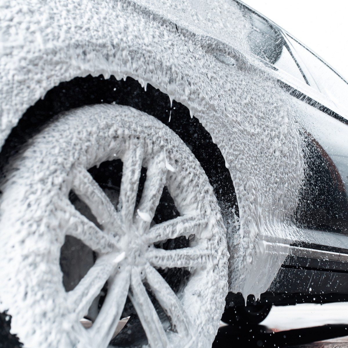 K2 PIANA AKTYWNA 5KG M100 K2 PIANA AKTYWNA 5KG M100